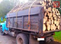 На Кіровоградщині вантажівка перевозила деревину без дозвільних документів