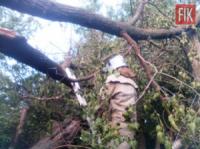 На Кіровоградщині рятувальники тричі надавали допомогу по розпилюванню аварійних дерев