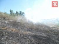На Кіровоградщині виникло 4 пожежі в екосистемі