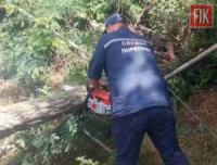 На Кіровоградщині двічі надавали допомогу по розпилюванню та прибиранню дерев