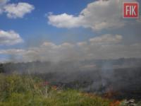 На Кіровоградщині тричі виникали пожежі рослинності