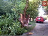 На Кіровоградщині пожежно-рятувальний підрозділ прибрав аварійне дерево