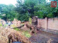 На Кіровоградщині рятувальники прибрали два аварійні дерева