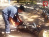 На Кіровоградщині рятувальники двічі розпилювали та прибирали аварійні дерева