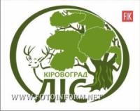 У ЗМІ з’явились неправильні трактування повідомлення про самовільні рубки у лісах Кіровоградщини