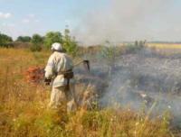 На Кіровоградщині за минулу добу виникло 3 пожежі в екосистемі