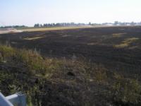 На Кіровоградщині вогнеборці 5 разів гасили пожежі сухої рослинності