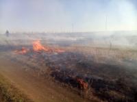 На Кіровоградщині за минулу добу виникло 6 пожеж сміття та сухої трави