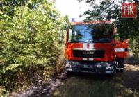 На Кіровоградщині виникло 3 пожежі в екосистемі