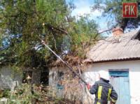На Кіровоградщині рятувальники двічі виїжджали,  щоб прибрати аварійні дерева