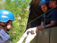 На Кіровоградщині піротехніки знищили застарілу міну