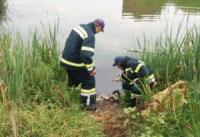На Кіровоградщині у річці втопилася жінка