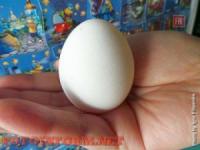 У Кропивницькому знову подорожчали курячі яйця
