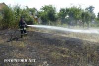 На Кіровоградщині ліквідували 2 пожежі в екосистемі