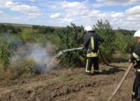 На Кіровоградщині рятувальники ліквідували дві пожежі в екосистемі