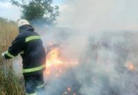 На Кіровоградщині рятувальники ліквідували дві пожежі сухої трави та сміття