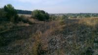 На Кіровоградщині вогнеборці ліквідували три загоряння сухої рослинності