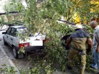 На Кіровоградщині рятувальники двічі прибирали аварійні дерева