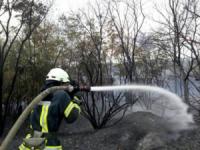 На Кіровоградщині 7 пожеж сухої трави та сміття ліквідовано вогнеборцями