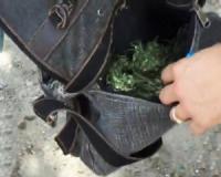 На Кіровоградщині поліцейські виявили у чоловіка нарковмісні рослини