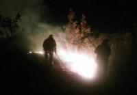 На Кіровоградщині рятувальники ліквідували загорання в екосистемі