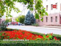 Кропивницький: що очікує на квітучі клумби на площі Героїв Майдану?