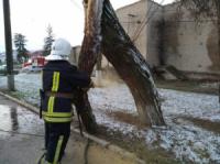 На Кіровоградщині рятувальники 5 разів надавали допомогу по розпилюванню та прибиранню дерев