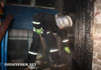 У Кропивницькому рятувальники допомогли вилучити з квартири кажана