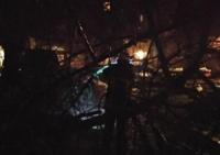 У Кропивницькому з проїжджої частини рятувальники прибрали аварійне дерево