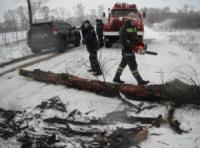 На Кіровоградщині рятувальники тричі надавали допомогу по прибиранню аварійних дерев