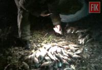 На Кіровоградщині викрили браконьєра
