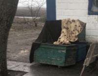 На Кіровоградщині зловмисник викрав вулики з бджолами