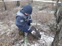 На Кіровоградщиині піротехніками знищено 27 боєприпасів