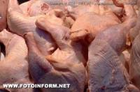 На Кировоградщине обнаружили 10 тонн некачественной курятины