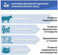 Аграріям Кіровоградщини допоможуть отримувати компенсації за п’ятьма державними програмами