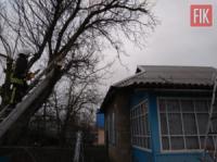 На Кіровоградщині рятувальники надали допомогу по розпилюванню та прибиранню повалених дерев