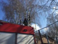 У Кропивницькому рятувальники надали допомогу по розпилюванню та прибиранню повалених дерев