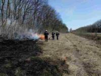 На Кіровоградщині рятувальники загасили 6 пожеж сухої рослинності