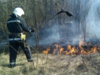 Кіровоградська область: рятувальники загасили 6 пожеж у екосистемах
