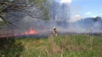 Кіровоградська область: рятувальники двічі виїздили на гасіння пожеж в екосистемах