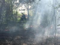 На Кіровоградщині ліквідували 5 загорань у житловому секторі та екосистемах