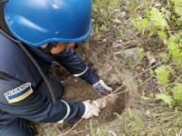 Кіровоградська область: піротехніки знищили 15 артснарядів