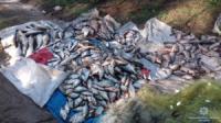 У рамках профілактичних заходів на Кіровоградщині вилучено понад 700 кг незаконно виловленої риби