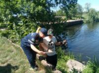 На Кіровоградщині громадян навчають безпечному відпочинку біля водойм