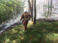 На Кіровоградщині вогнеборці ліквідували 9 пожеж у екосистемах