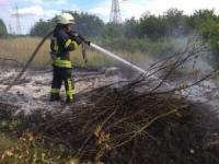 Кропивницький: вогнеборці за добу ліквідували три загоряння сміття