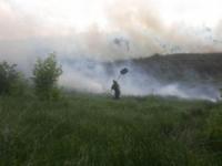 Кіровоградська область: вогнеборцями приборкано 5 пожеж сухої трави