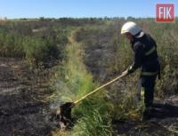 На Кіровоградщині приборкано 6 пожеж в екосистемах області