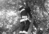 На Кіровоградщині рятувальники зняли малюка з дерева