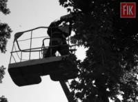 На Кіровоградщині рятувальники 6 разів залучались до розпилювання та прибирання аварійних дерев